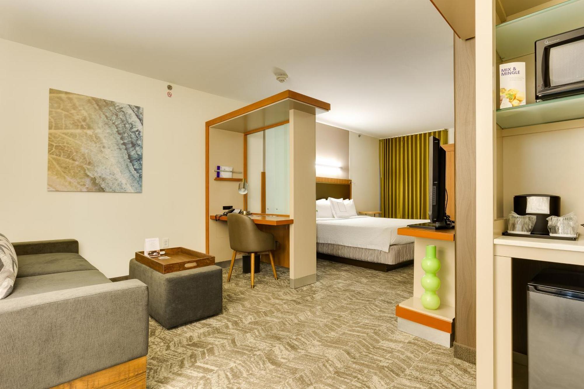สปริงฮิลล์ สวีท แมคคัลเลน คอนเวนชั่น เซ็นเตอร์ Hotel ภายนอก รูปภาพ